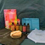 korganika detox addict bundle korganika detox addict bundle