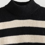Women’s Buckle Sleeve Black White Strip Gold Button Detail High Neck Knit Jumper