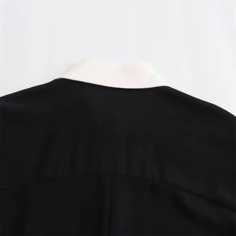Women’s Slim Fit Polo Collar Single Breasted Black Shirt Mini Dress Women’s Slim Fit Polo Collar Single Breasted Black Shirt Mini Dress