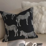 black-zebra