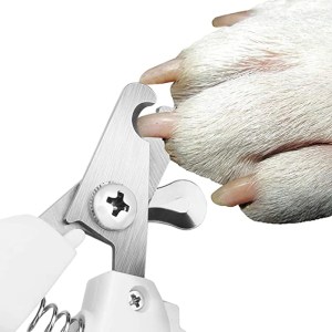 Professional Pet Nail Clipper Stainless Steel Dog Cat Nail Trimmer jQuery(document).ready(function($) { // Target the Products page if($('body').hasClass('edit-php') && $('body').hasClass('post-type-product')) { $("th.column-admin_commission").css( 'width', '10%' ); } });