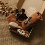 bear-set