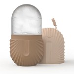 Shell Facial Contouring Ice Facial Roller Skin Care