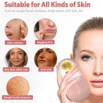 Shell Facial Contouring Ice Facial Roller Skin Care
