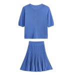 Royal Blue Short Knit Top & Mini Skirt Two Piece Set