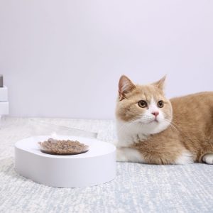 PETKIT Fresh Nano-15 Adjustable Cat Feeding Bowl -Single PETKIT Fresh Nano-15 Adjustable Cat Feeding Bowl -Single