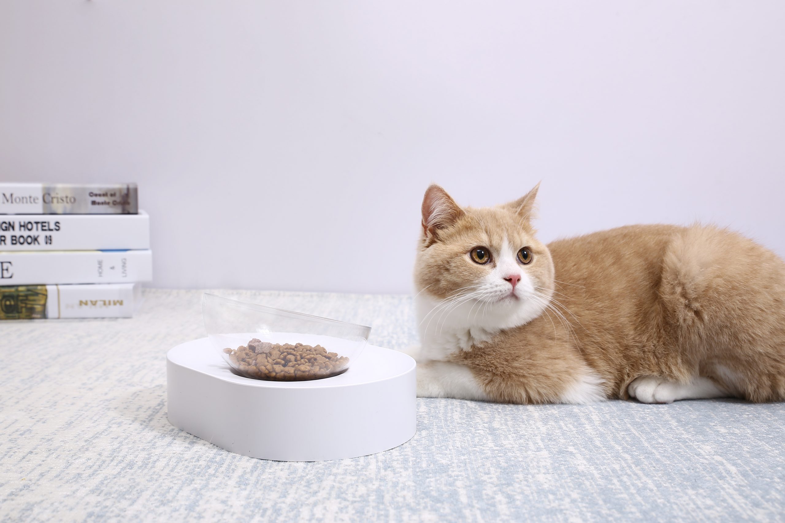 PETKIT Fresh Nano-15 Adjustable Cat Feeding Bowl -Single PETKIT Fresh Nano-15 Adjustable Cat Feeding Bowl -Single