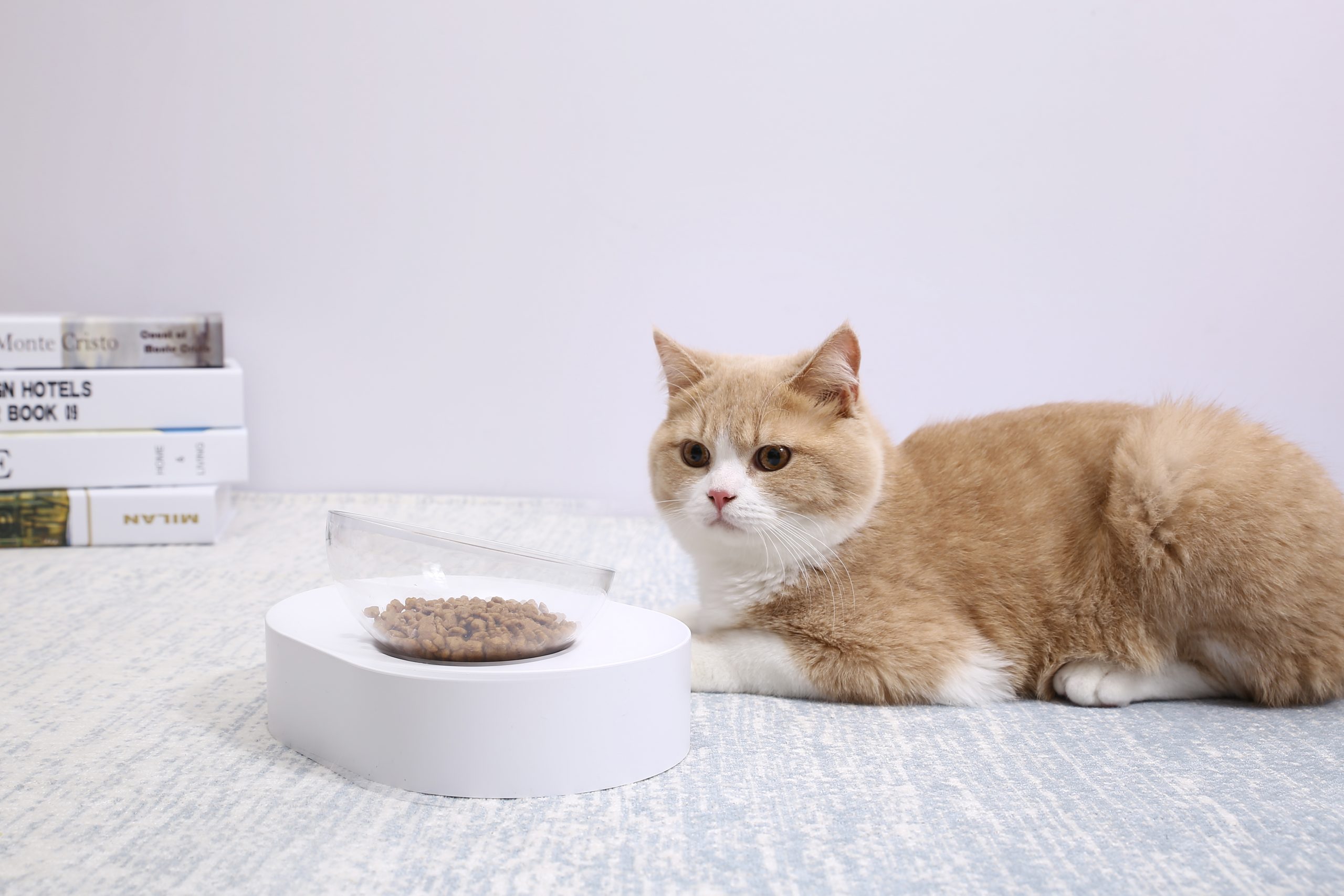 PETKIT Fresh Nano-15 Adjustable Cat Feeding Bowl -Single PETKIT Fresh Nano-15 Adjustable Cat Feeding Bowl -Single