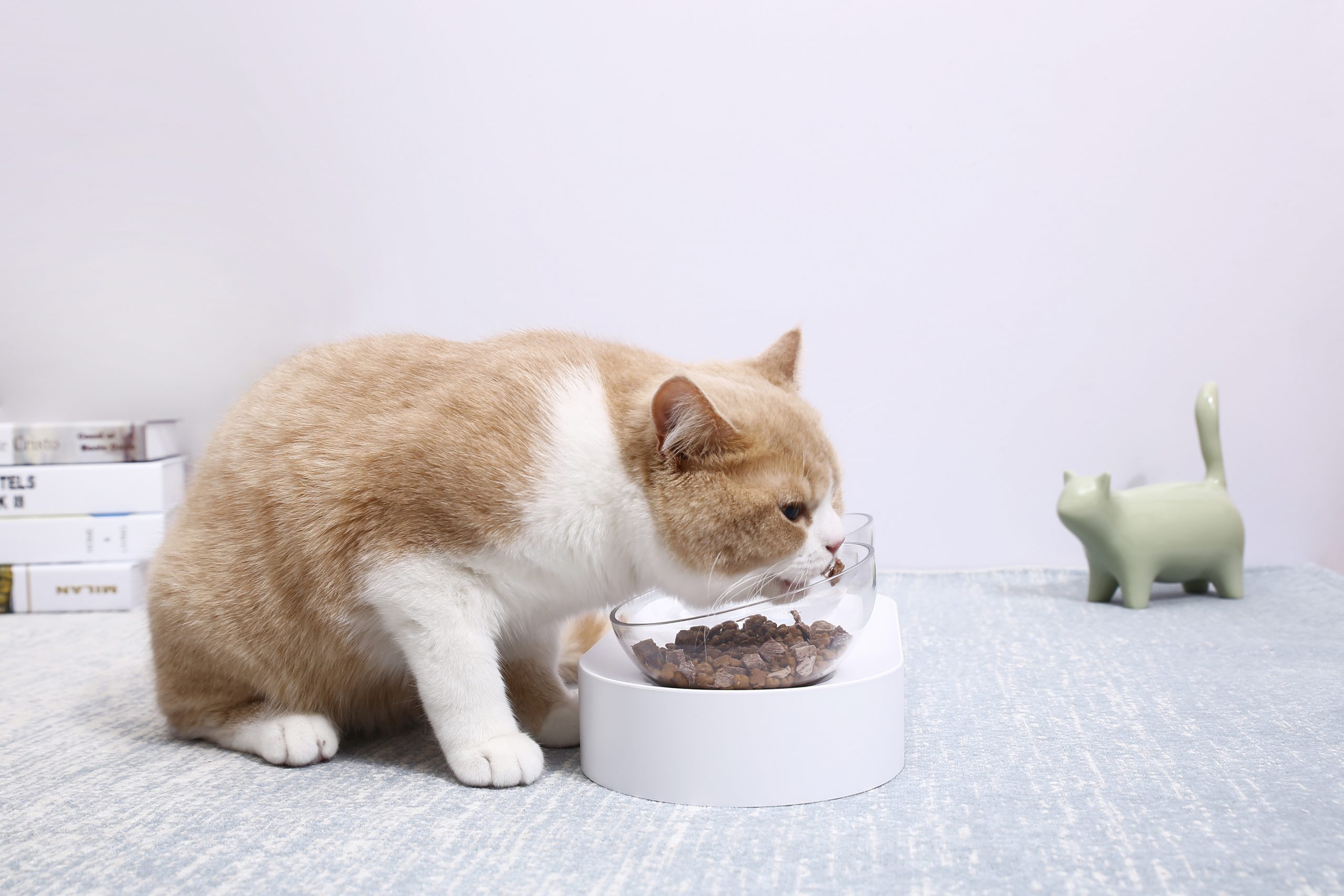 PETKIT Fresh Nano-15 Adjustable Cat Feeding Bowl -Single PETKIT Fresh Nano-15 Adjustable Cat Feeding Bowl -Single