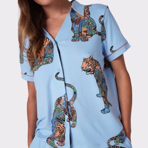 Zebra Print Summer PJ Set – Button-Up Short Sleeve T-Shirt & Elastic Shorts