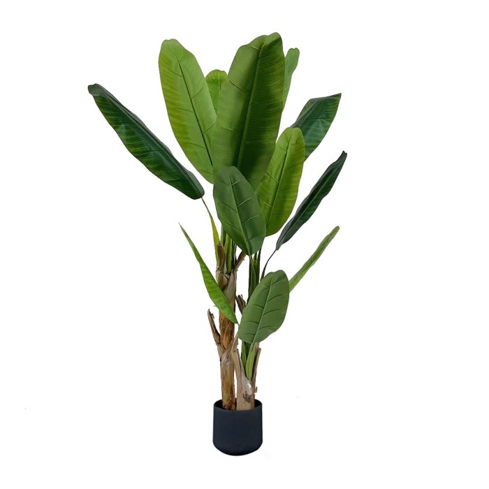 000 429.jpg 000 429.jpg