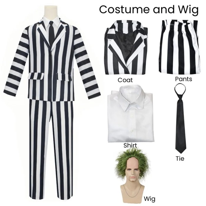 Beetle Juice Black and White Striped Halloween Costume + Wig 5