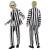 Beetle Juice Black and White Striped Halloween Costume + Wig