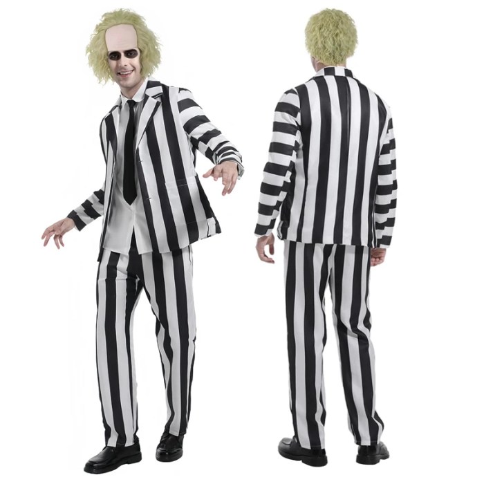 Beetle Juice Black and White Striped Halloween Costume + Wig