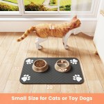 Pet Feeding Mat-Absorbent Pet Placemat for Food and Water Bowl 6