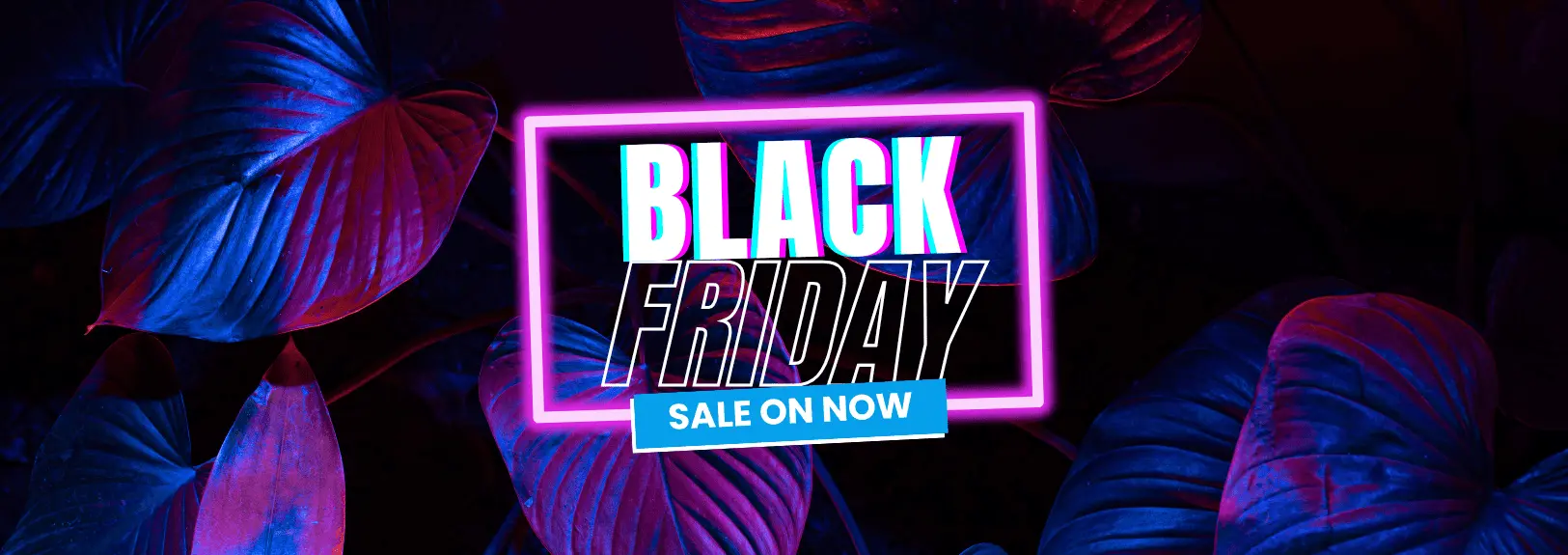 kouwi black friday Sales Christmas Sale on Now