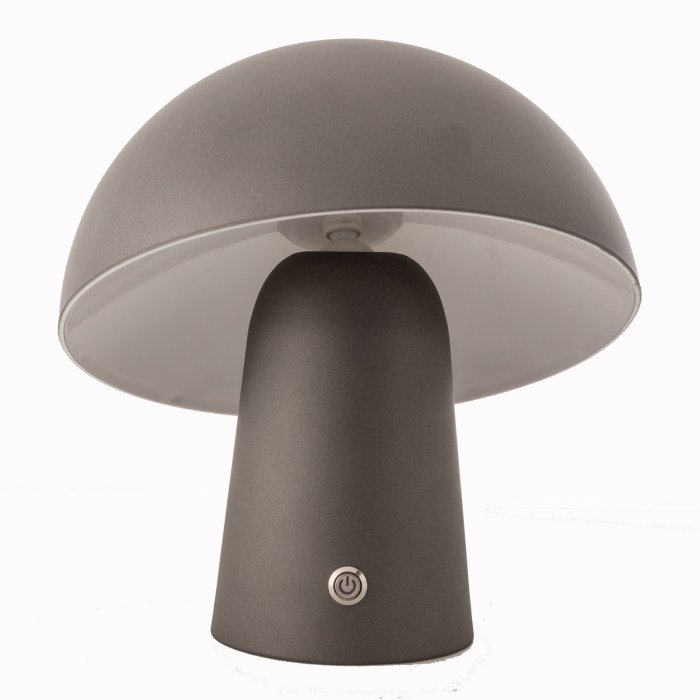 Private: LED Cordless Mushroom USB Rechargeable Table Lamp Dimming Night Light – Steel Grey Private: LED Cordless Mushroom USB Rechargeable Table Lamp Dimming Night Light – Steel Grey