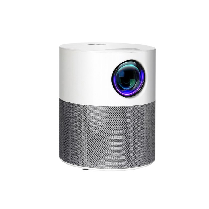 Private: Devanti Portable Mini Video Projector 1080P Wifi Home Theater HDMI Carry Bag Devanti Portable Mini Video Projector 1080P Wifi Home Theater HDMI Carry Bag