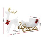 Jingle Jollys Christmas Lights Reindeer Sleigh215 LED Decorations Jingle Jollys Christmas Lights Reindeer Sleigh215 LED Decorations