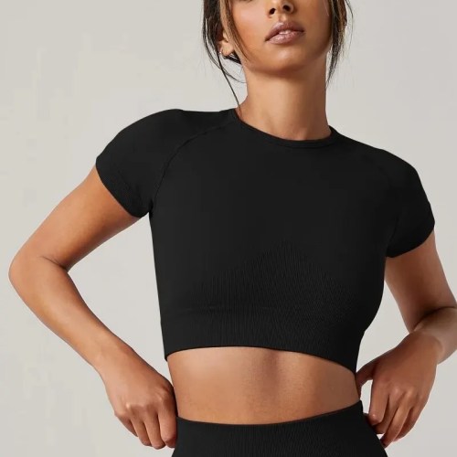 Women's Seamless Short Sleeve Yoga Top Running Active Wear