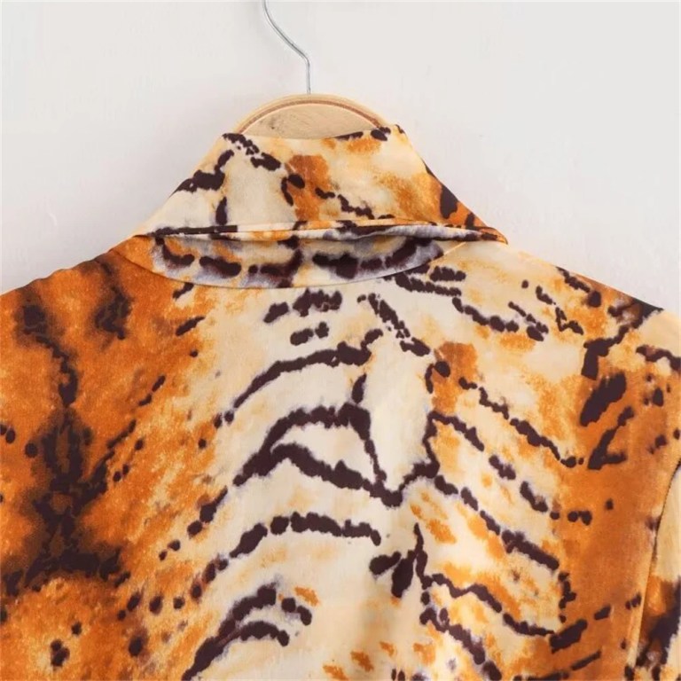 Zach Women's Simple Long Sleeve Lace-up Animal Leopard Print Slimming Dress 6