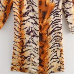 Zach Women's Simple Long Sleeve Lace-up Animal Leopard Print Slimming Dress 4