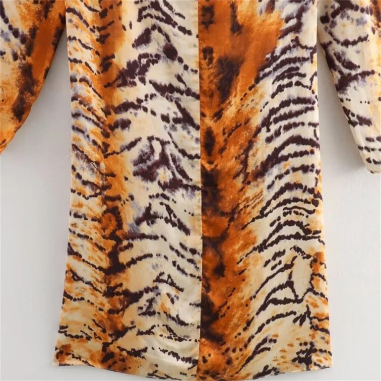 Zach Women's Simple Long Sleeve Lace-up Animal Leopard Print Slimming Dress 4