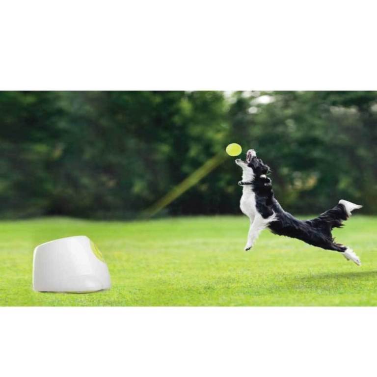 hyper fetch maxi dog ball thrower large interactive pet toy launcher