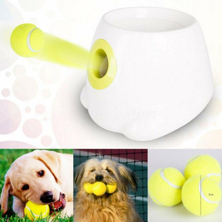 hyper fetch mini dog ball thrower small interactive pet toy launcher