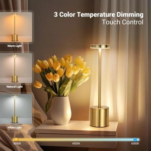 LED Rechargeable Touch Table Lamp - 3 Colour Ambient Night Light 2