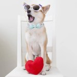 paws of love: blue heart valentine’s day dog collar with bowtie Paws of Love: Blue Heart Valentine’s Day Dog Collar with Bowtie 3