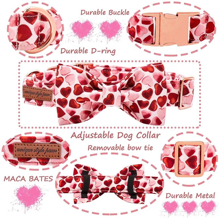 Paws & Love: Adjustable Valentine Heart Dog Collar with Bow Tie 2