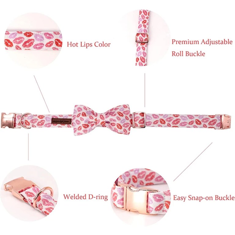 Paws & Kisses: Valentine Red Lips Dog Collar with Bow Tie 3