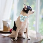 paws of love: blue heart valentine’s day dog collar with bowtie Paws of Love: Blue Heart Valentine’s Day Dog Collar with Bowtie 4