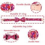Pretty in Pink: Valentine’s Day Dog Collar with Bowtie 2