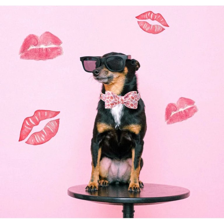 Paws & Kisses: Valentine Red Lips Dog Collar with Bow Tie 5