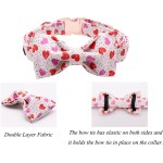 Paws of Love: Valentine's Heart Dog Collar with Bow Tie 4