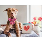 Pretty in Pink: Valentine’s Day Dog Collar with Bowtie 4