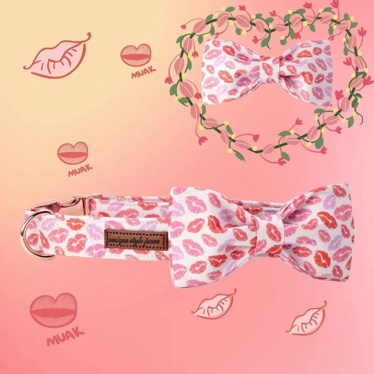 Paws & Kisses: Valentine Red Lips Dog Collar with Bow Tie 2