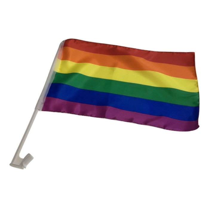 rainbow car flag w window clip flags australia day 30cm x 45cm lgbt gay pride rainbow car flag w window clip flags australia day 30cm x 45cm lgbt gay pride