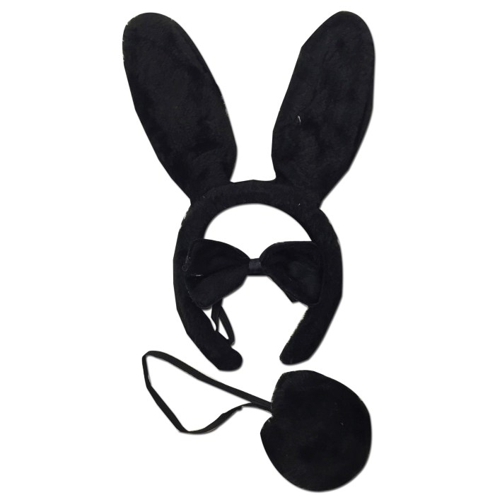 3 piece set animal costume dress up party bow tie tail ears book week cosplay