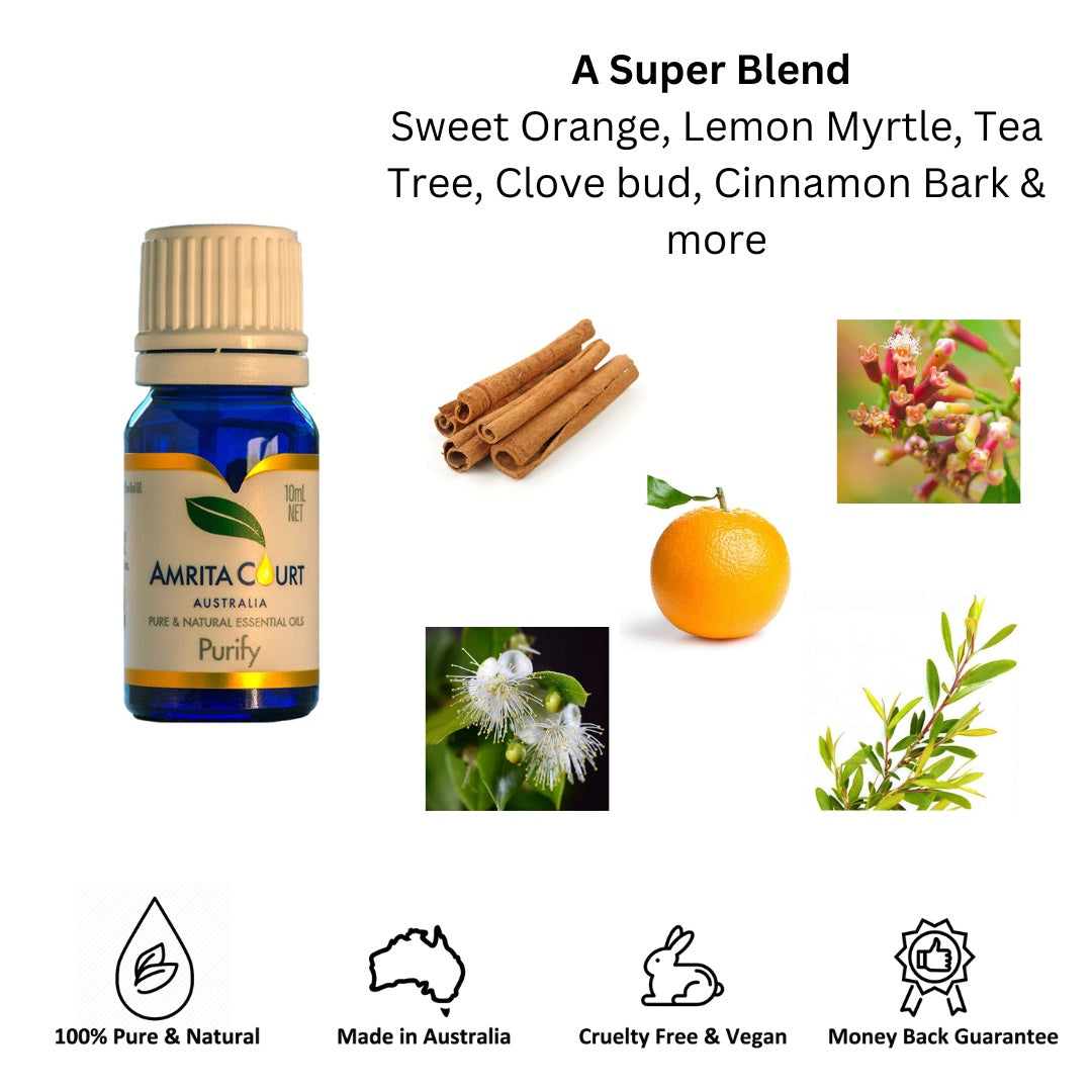 gift box dog white gold aroma necklace + purify oil blend