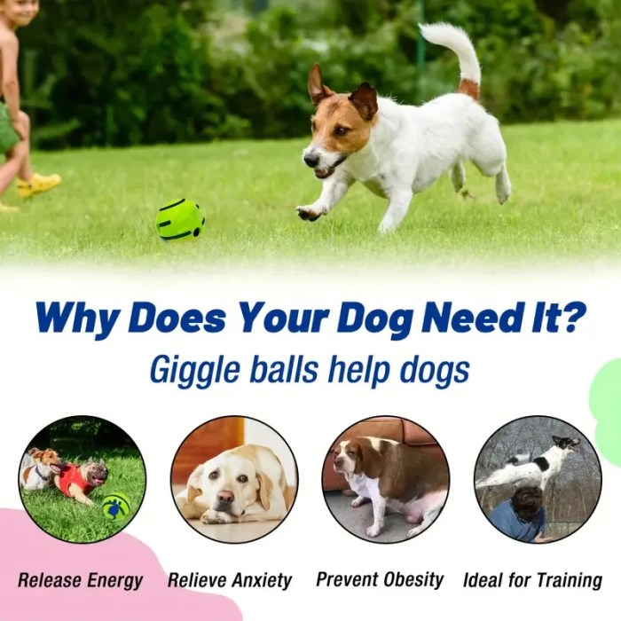 Pet Chew Ball for Cats & Dogs – Self-Activated Squeaky Toy, No Battery, Fun & Teeth Cleaning 4