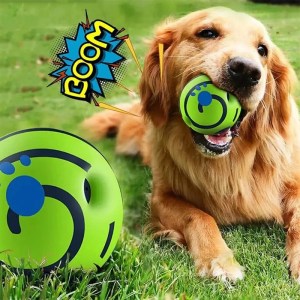 Pet Chew Ball for Cats & Dogs – Self-Activated Squeaky Toy, No Battery, Fun & Teeth Cleaning 1