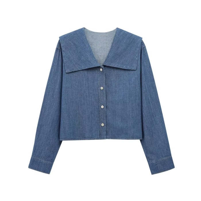 Zach Women's Lapel Long Sleeve Button-Up Denim Shirt