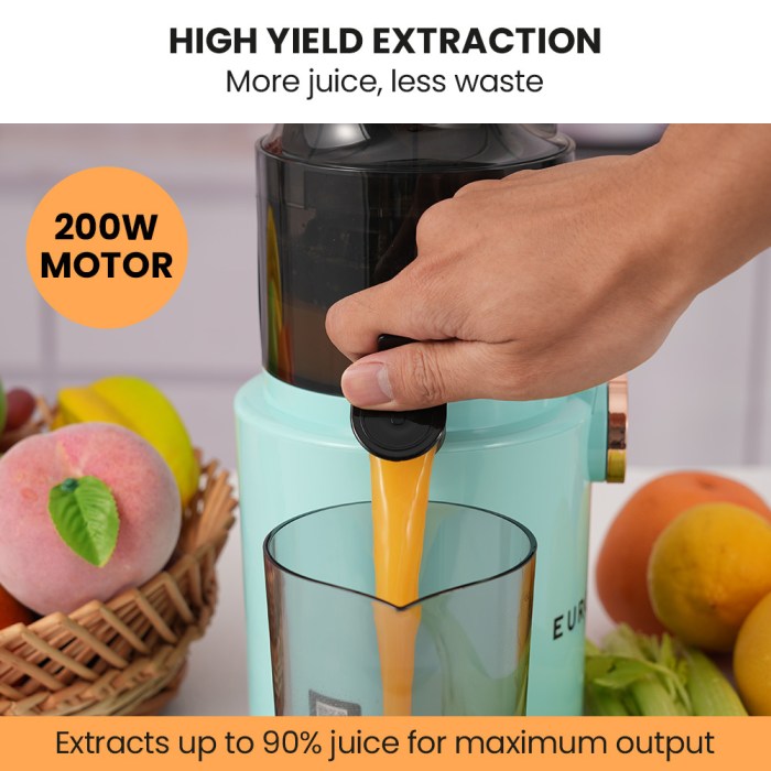 eurochef cold press slow juicer machine, large chute, 200w, seafoam green