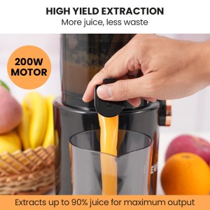eurochef cold press slow juicer machine, large chute, 200w, charcoal grey