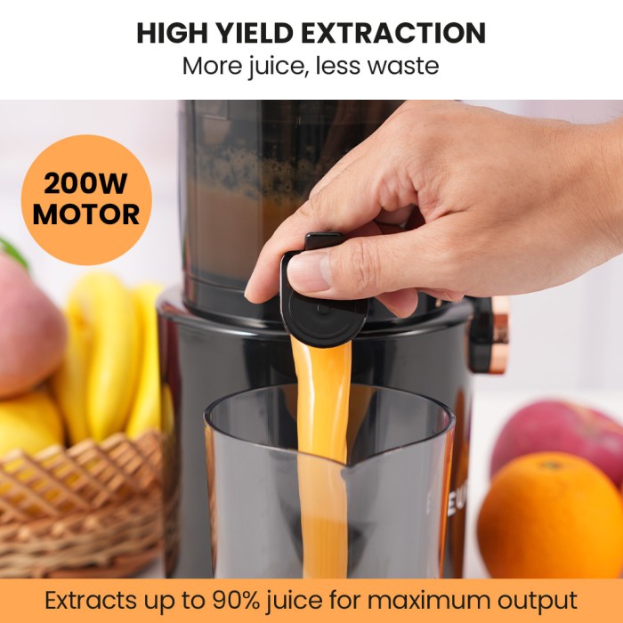eurochef cold press slow juicer machine, large chute, 200w, charcoal grey