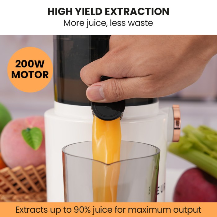 eurochef cold press slow juicer machine, large chute, 200w, white eurochef cold press slow juicer machine, large chute, 200w, white