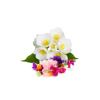 2x 200g plant oil soap sweet pea jasmine scent pure natural vegetable base bar 2x 200g plant oil soap sweet pea jasmine scent pure natural vegetable base bar